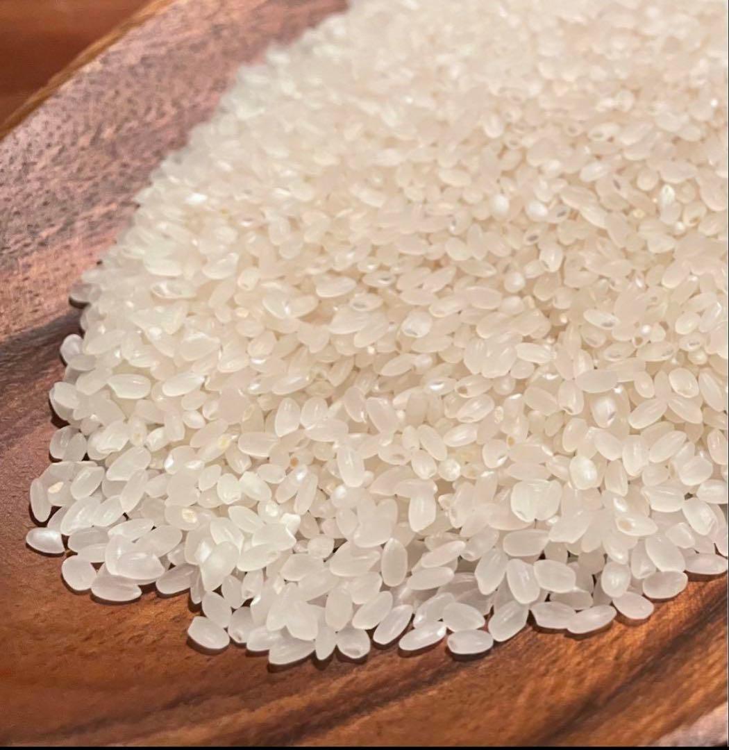 農薬化学肥料除草剤不使用　令和7年度米　愛媛県産ヒノヒカリ稲架掛け米 20kg