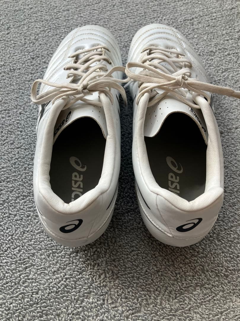 アシックスDS LIGHT GAIN ST WIDE 25cm