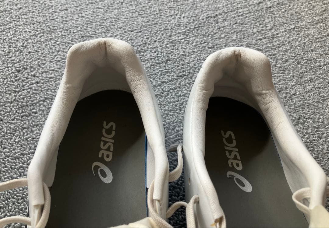 アシックスDS LIGHT GAIN ST WIDE 25cm