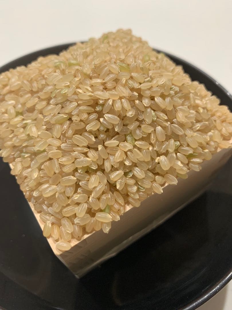 精米済み10キロ【農家直送！】新潟県産こしいぶき　特別栽培米　7年産　低温冷蔵