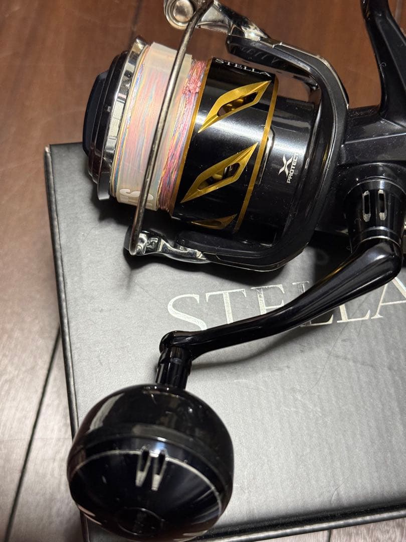 20 ステラ SW6000PG