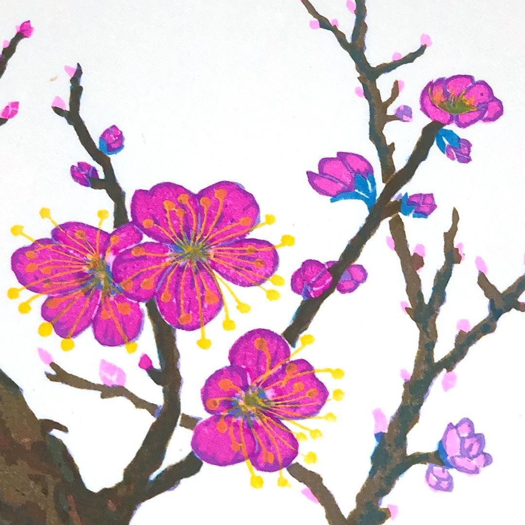 版画 [ 馬渕晃 梅 × 1 芙蓉 ( ふよう ) × 1 藤 × 2 ]