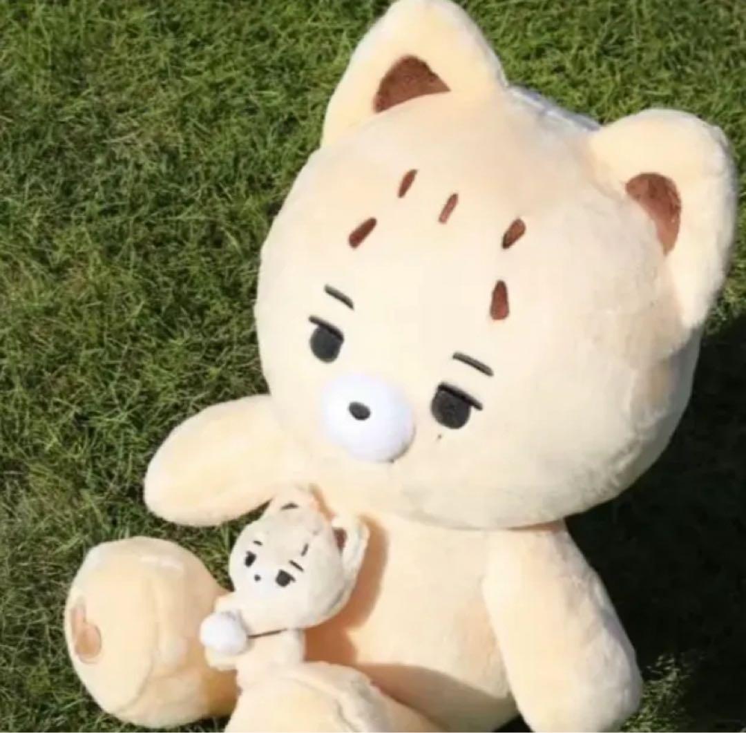 ニキ 40cm ぬいぐるみ ENHYPEN マスター