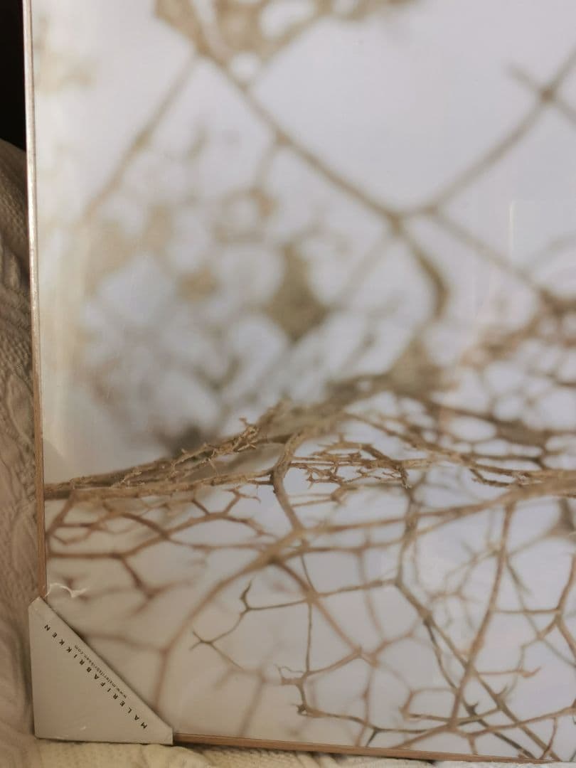 未開封デンマーク アートパネル マレリファブリケン 白木オーク リーフスケルトン