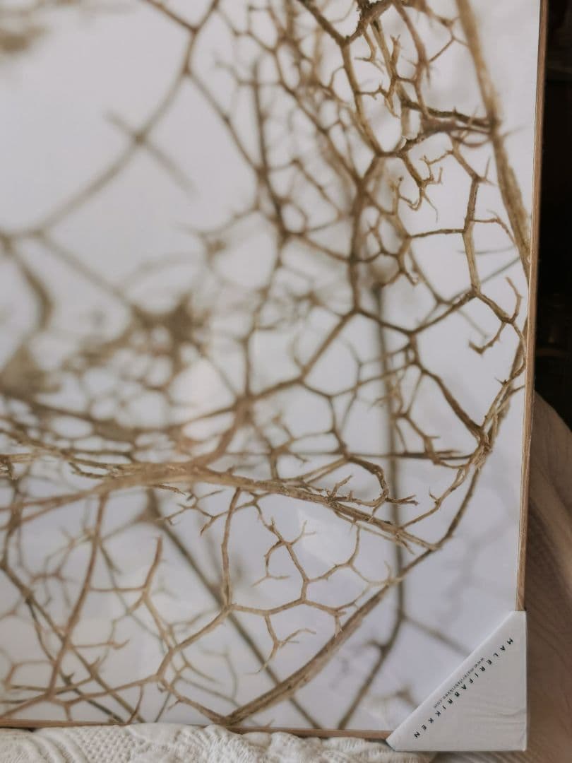 未開封デンマーク アートパネル マレリファブリケン 白木オーク リーフスケルトン