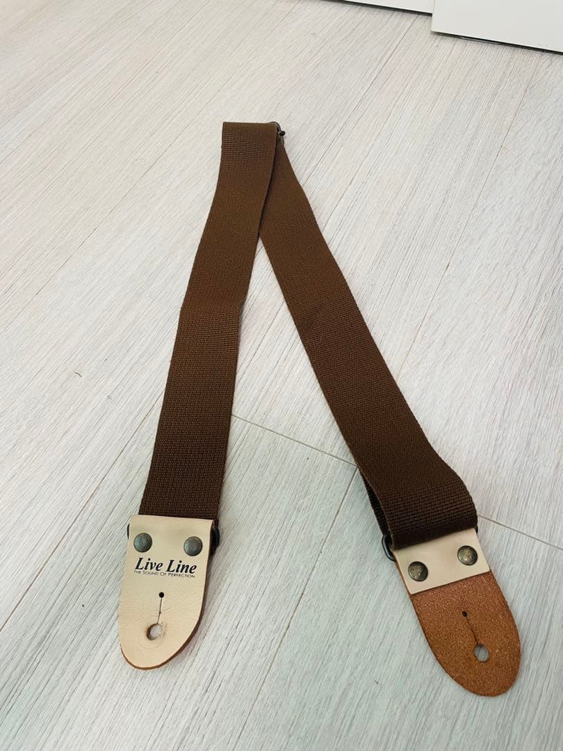 GrassRoots G-SN-45DX  White 白エレキギター