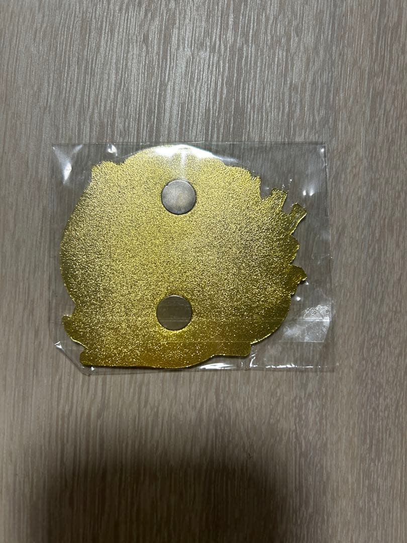 【激レア・非売品】万博 中国館マグネット