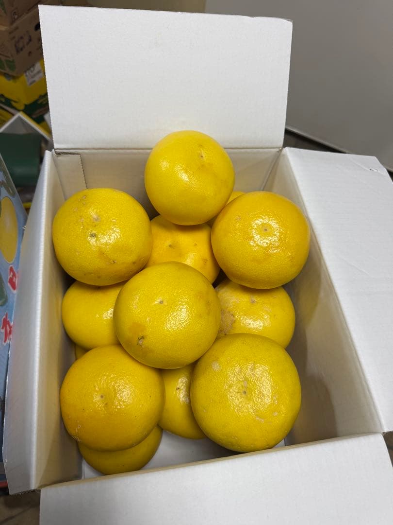 文旦　水晶文旦　みかん　好きに　　21