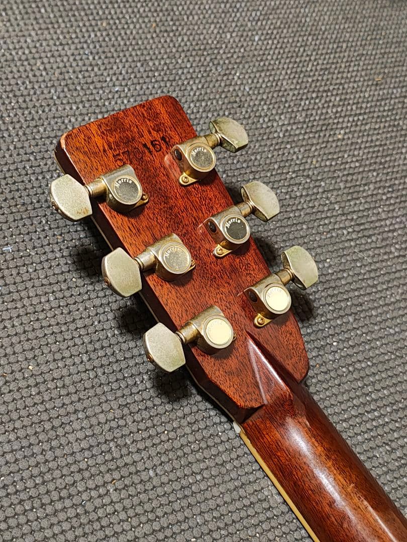 Morris TF-801ハカランダ/訳あり