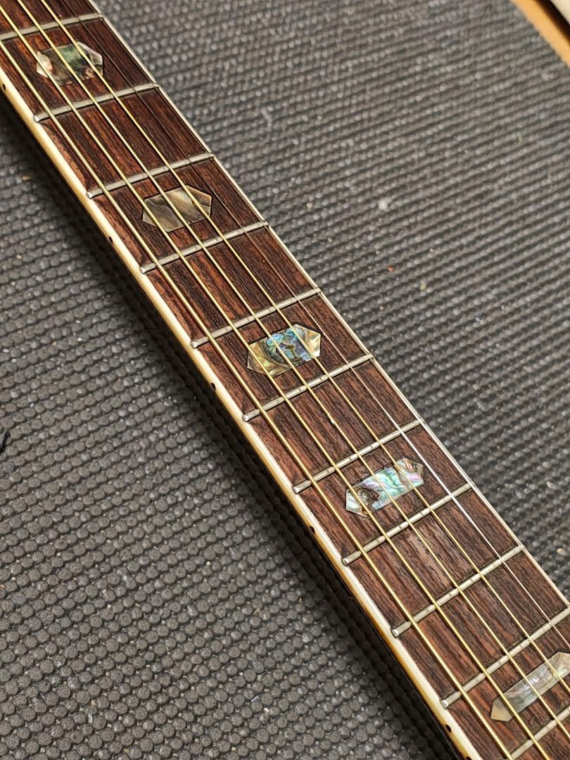 Morris TF-801ハカランダ/訳あり