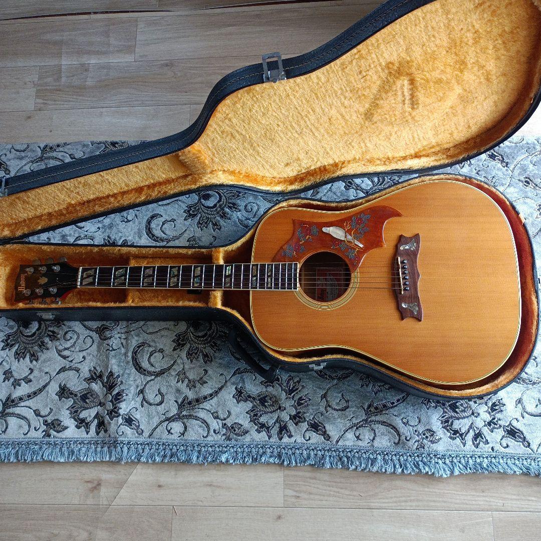 DOVEダヴモデル Burny BD-85 バーニー フェルナンデス 百瀬さん