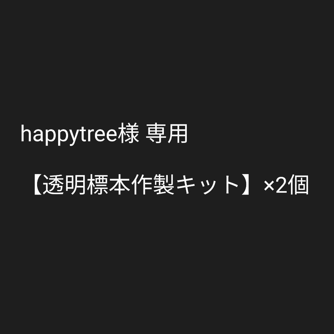オリジナル商品☆専用販売【透明標本作製キット】×2個