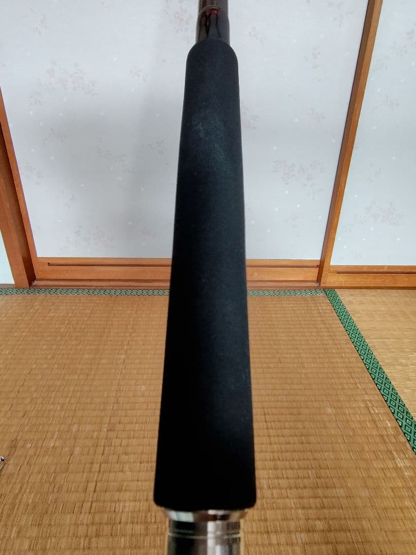 DAIWA ディープゾーン120-210