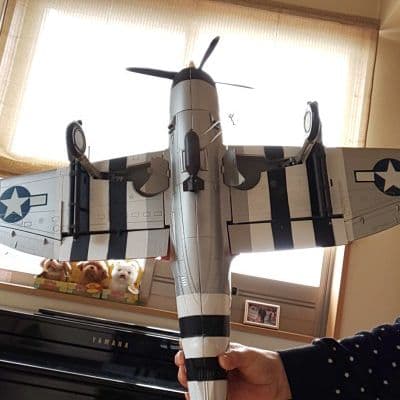 アメリカ軍戦闘機 P-40 サンダーボルト