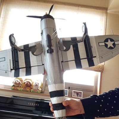 アメリカ軍戦闘機 P-40 サンダーボルト