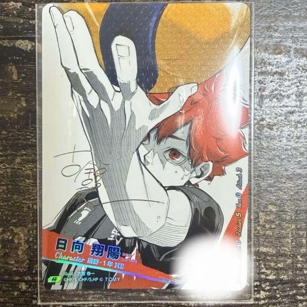 ハイキュー!! バボカ!! BREAK 日向翔陽 シリアル サイン入り