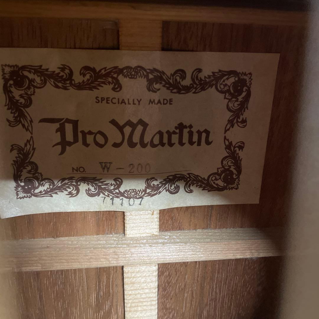 廃盤希少　マーティン 縦ロゴ W-200 Pro Martin ハードケース付き