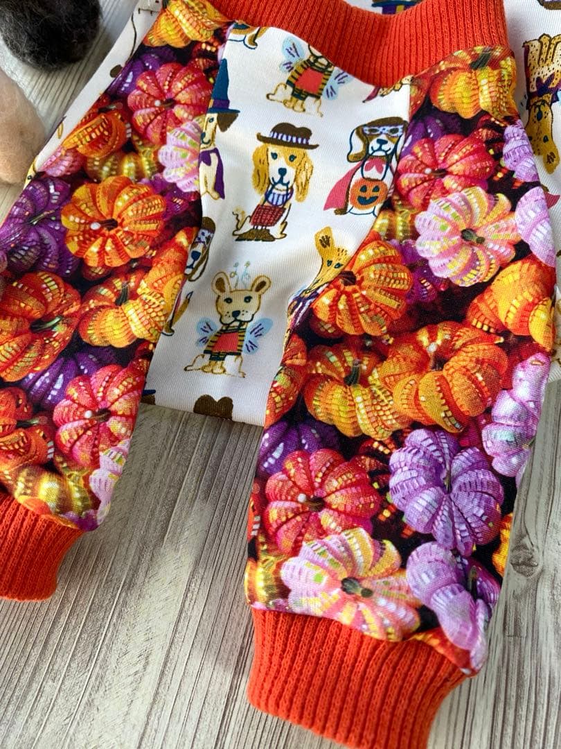 犬服  ラグラン(Ｓ)   ꒡̈⃝Lily꒡̈⃝ハンドメイド   ☻HELLOWEEN☻