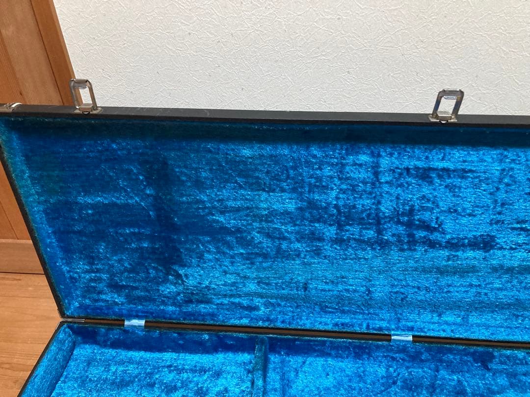 エレキ　ハードケース