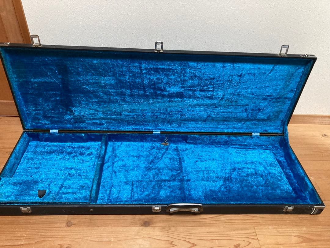 エレキ　ハードケース