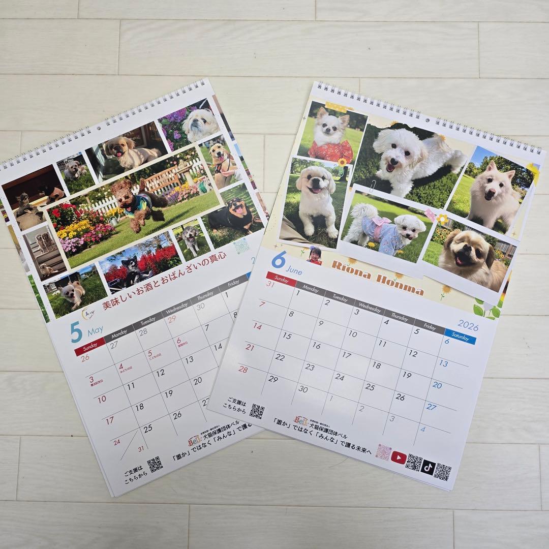 ③『犬』 壁掛けチャリティーカレンダー10枚セット