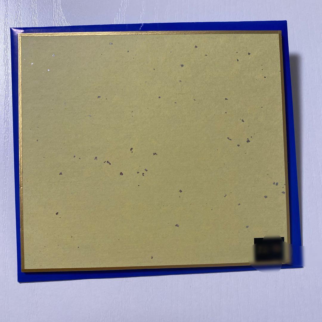 山田二千華 バレーボール女子日本代表直筆サインmini色紙NECレッドロケッツ