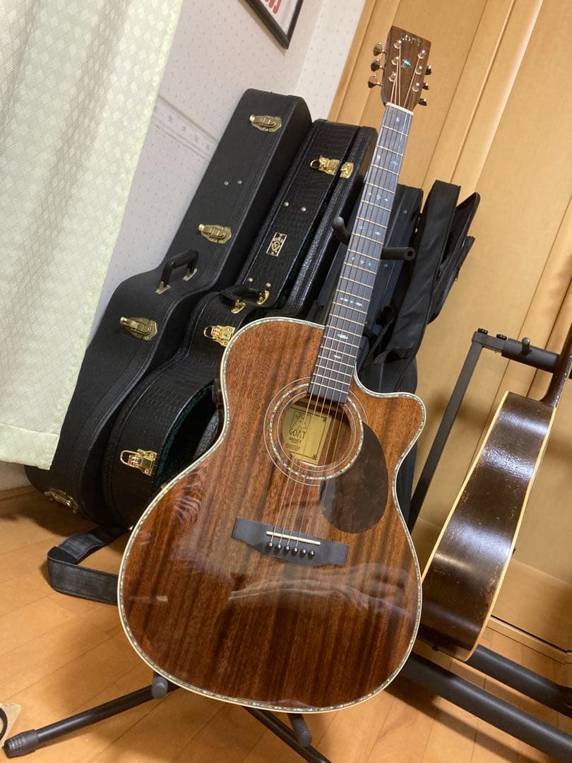 GOAT GA01RM 新体験エフェクター内蔵ギター