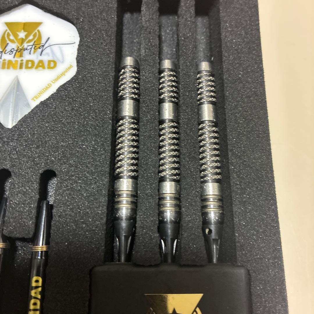 TRiNiDAD リカルド タイプ2 浅田斉吾エスダーツ限定 2BA 中古