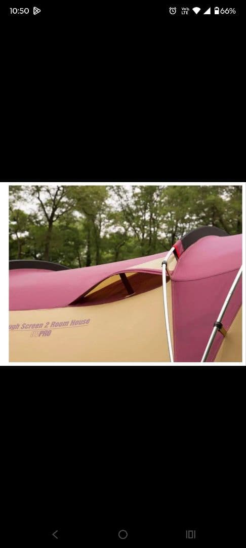 タフスクリーン2ルームハウス【バーガンディ】希少カラー