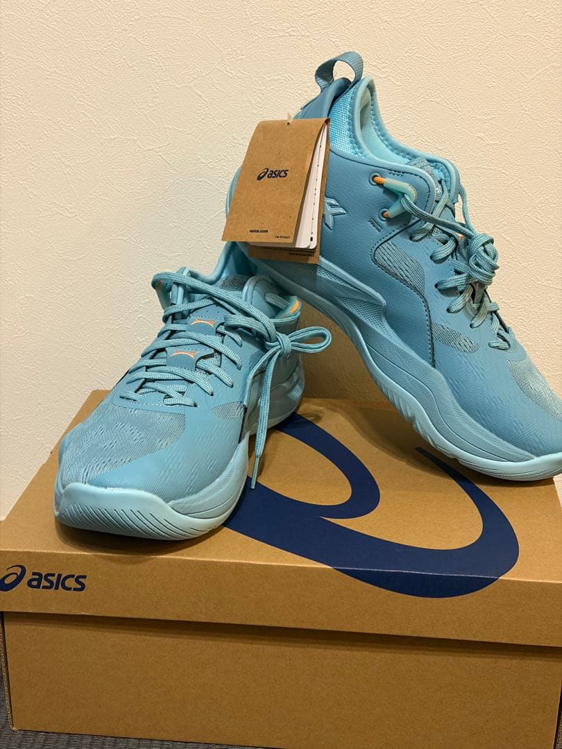 asics NOVA SURGE LOW 2 バスケットシューズ