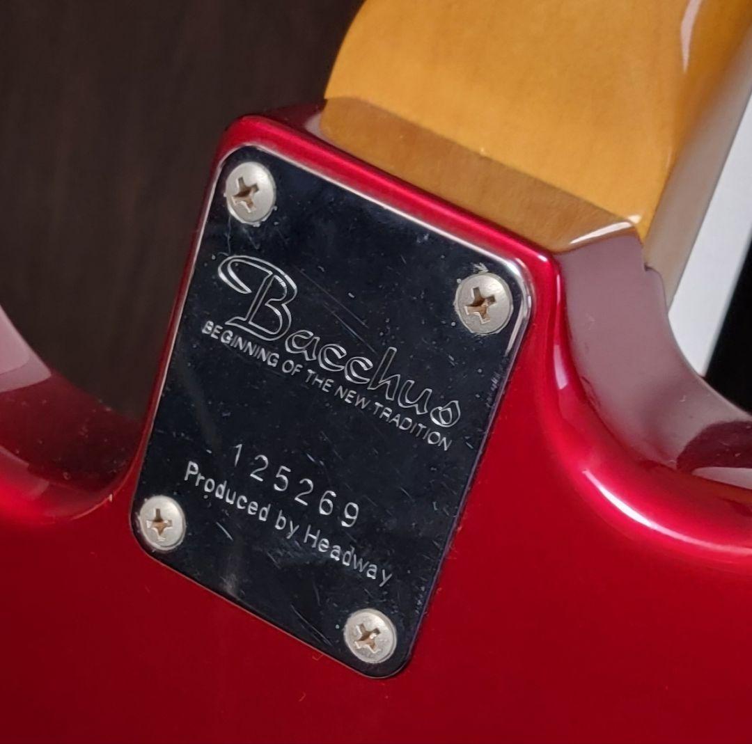 c*t様 【10月25日まで】bacchus bst-62