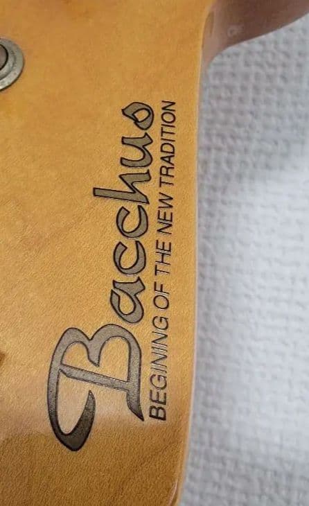 c*t様 【10月25日まで】bacchus bst-62