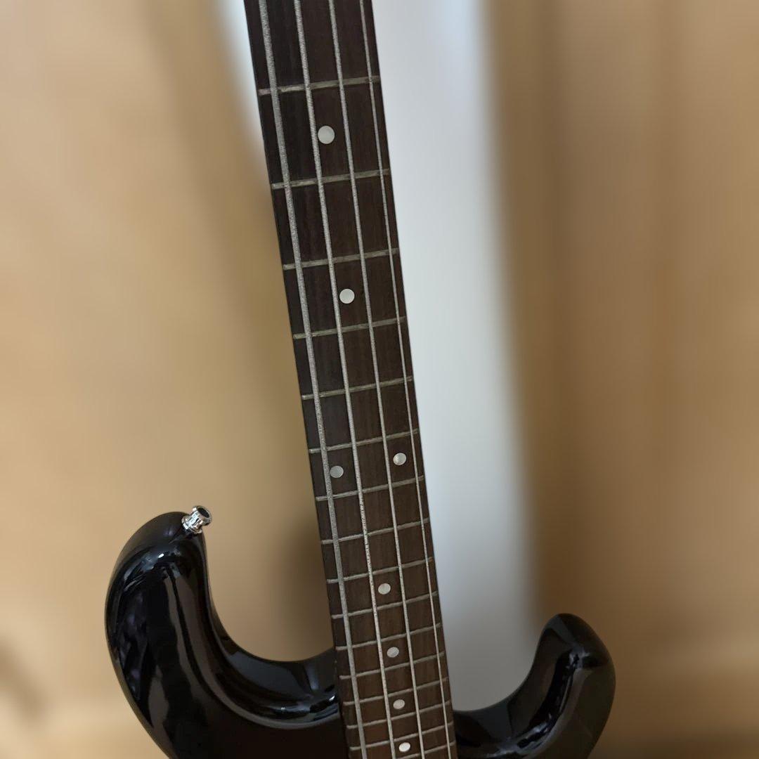 Killer Criminal Bass TAIJIモデル沢田泰司 付属品セット