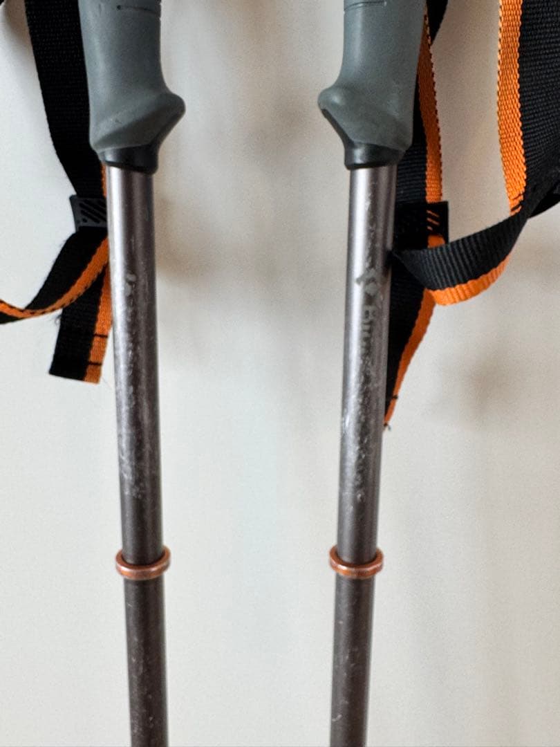  ブラックダイヤモンド カーボンウィペット