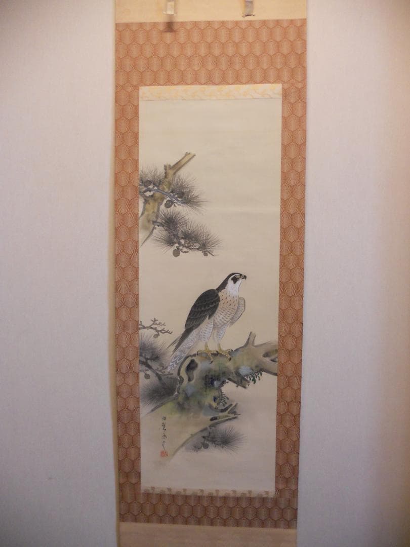 掛け軸 藤岡白鷹 松鷹の図 絹本 希少 軸装 茶道具 掛軸 美品 です。