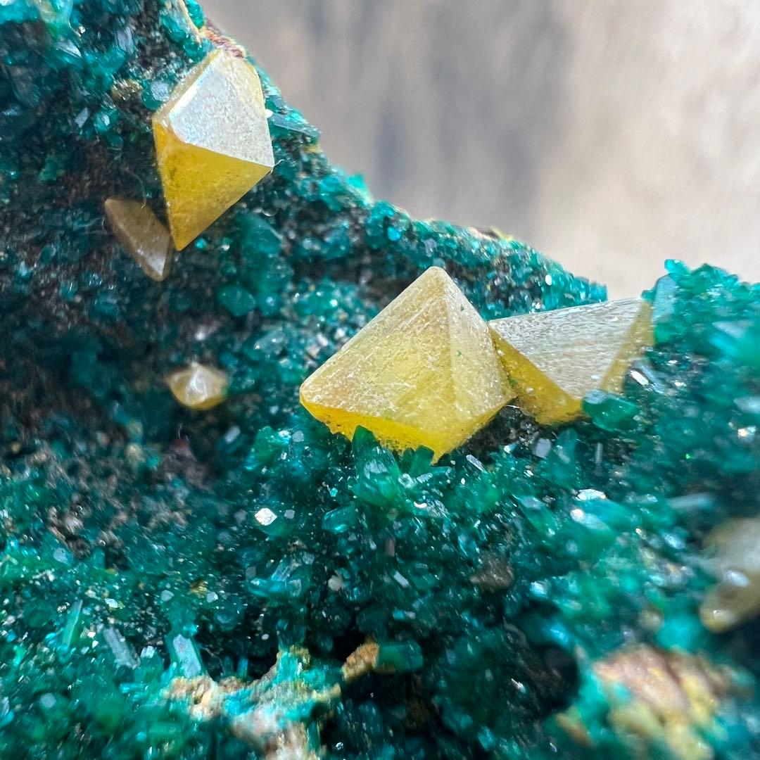 ダイオプテーズ ウルフェナイト 共生 鉱物 標本 原石