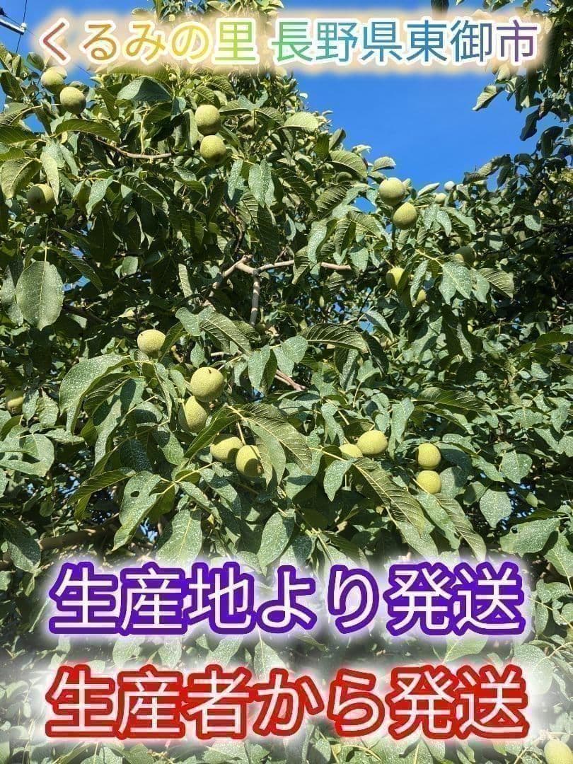 【かおりん商品 】 限定セール 殻付きくるみ 極小〜小サイズ 14kg