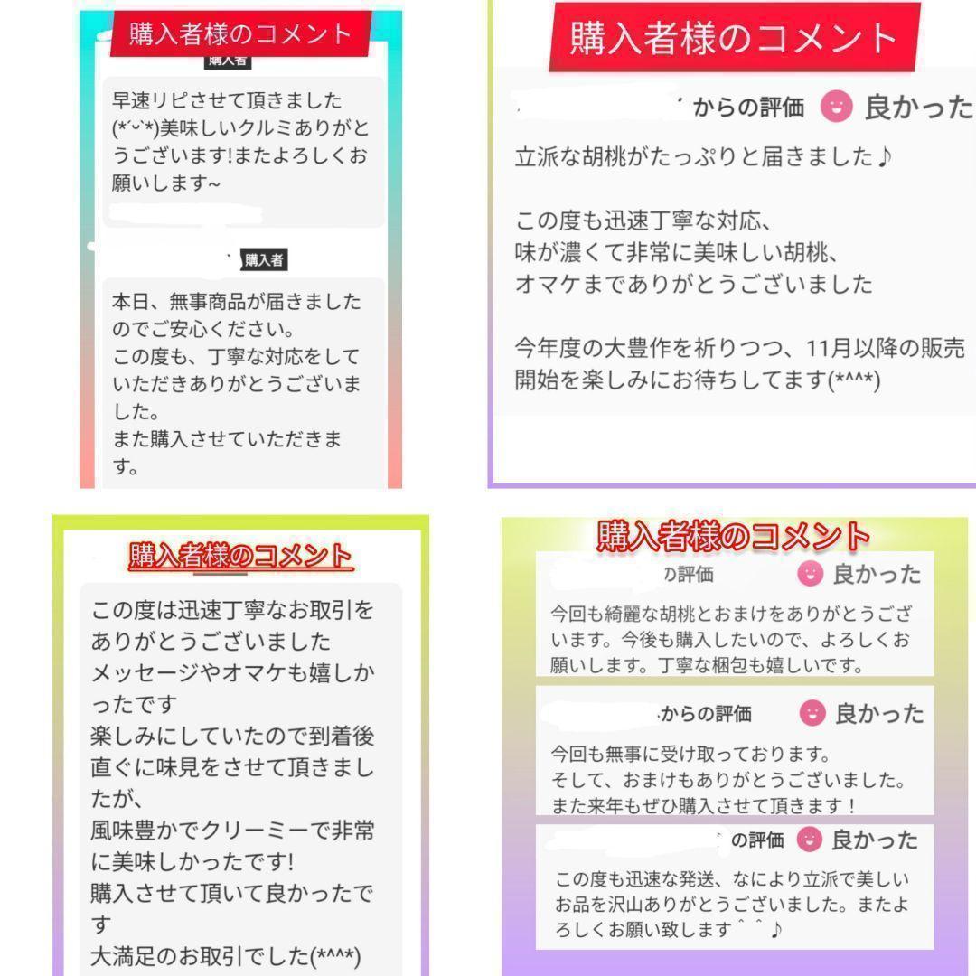 【かおりん商品 】 限定セール 殻付きくるみ 極小〜小サイズ 14kg