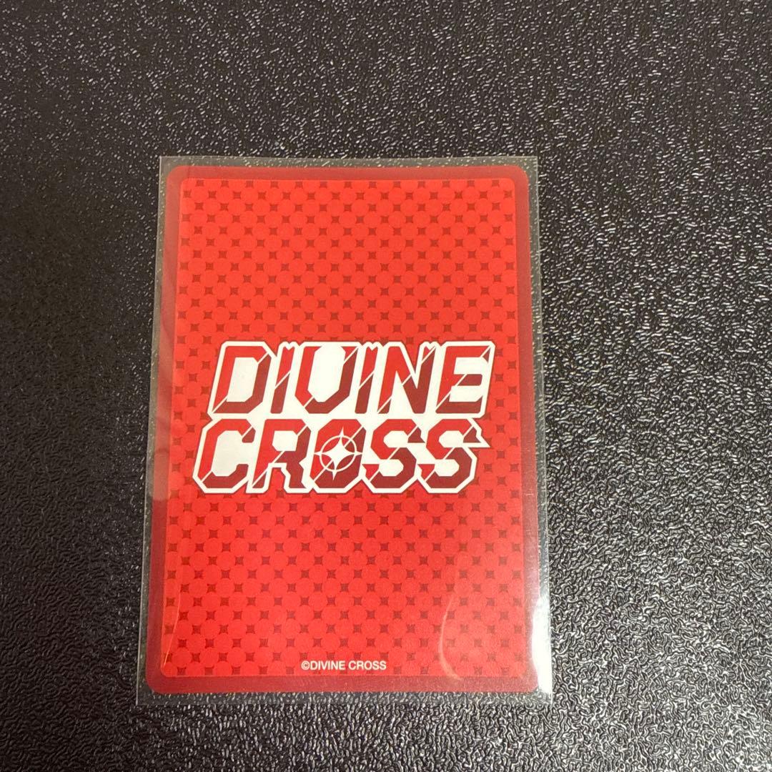 ホワイトラビット　ラビ　FINALIST刻印