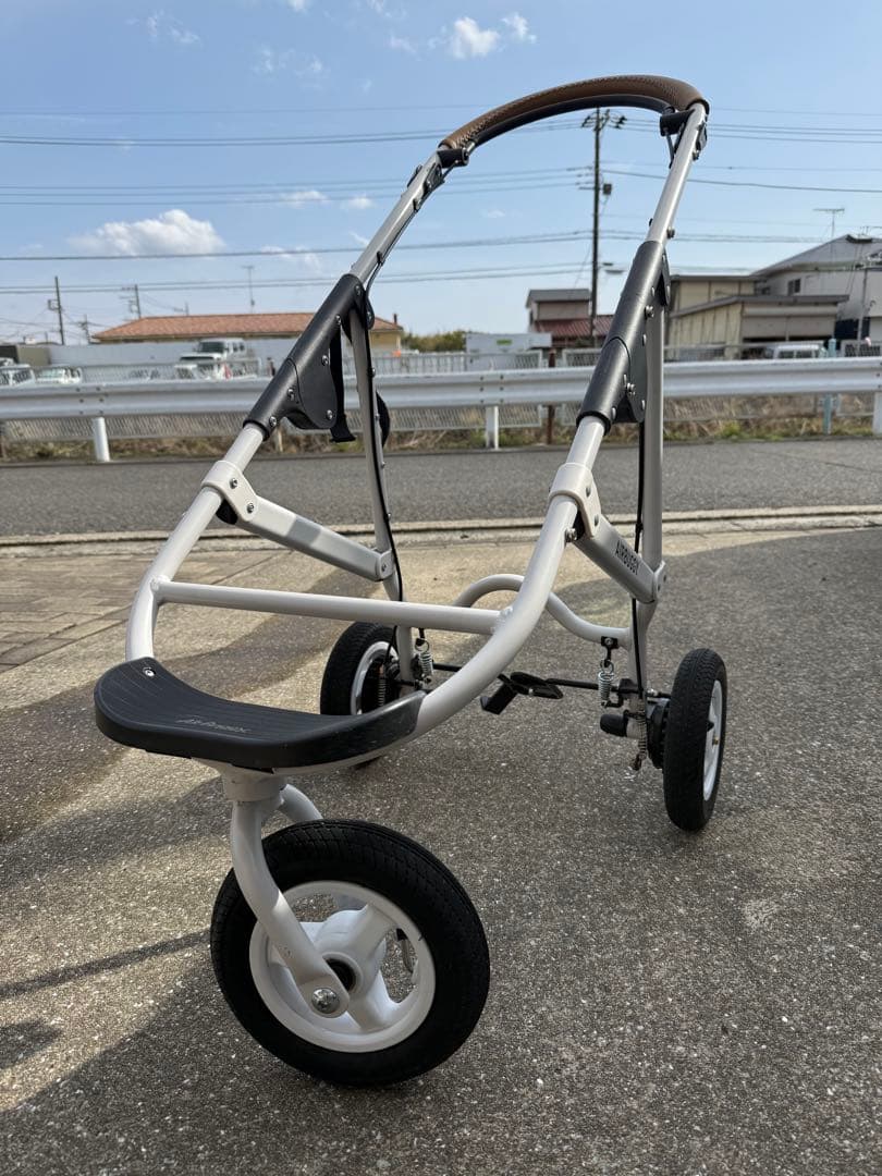 【peony8⠀】エアバギードーム3フレーム