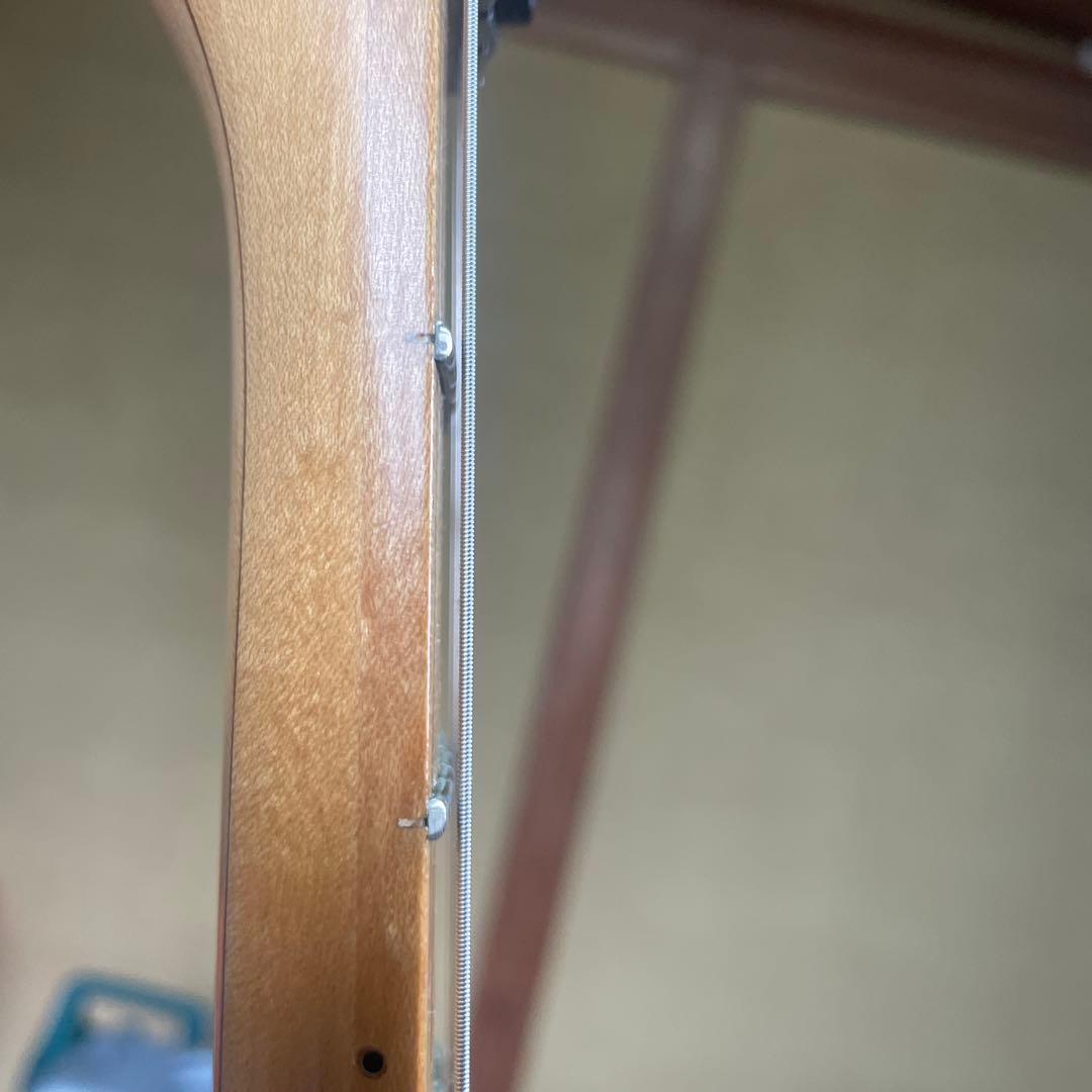 ギター Ibanez RG2450MZ-GK