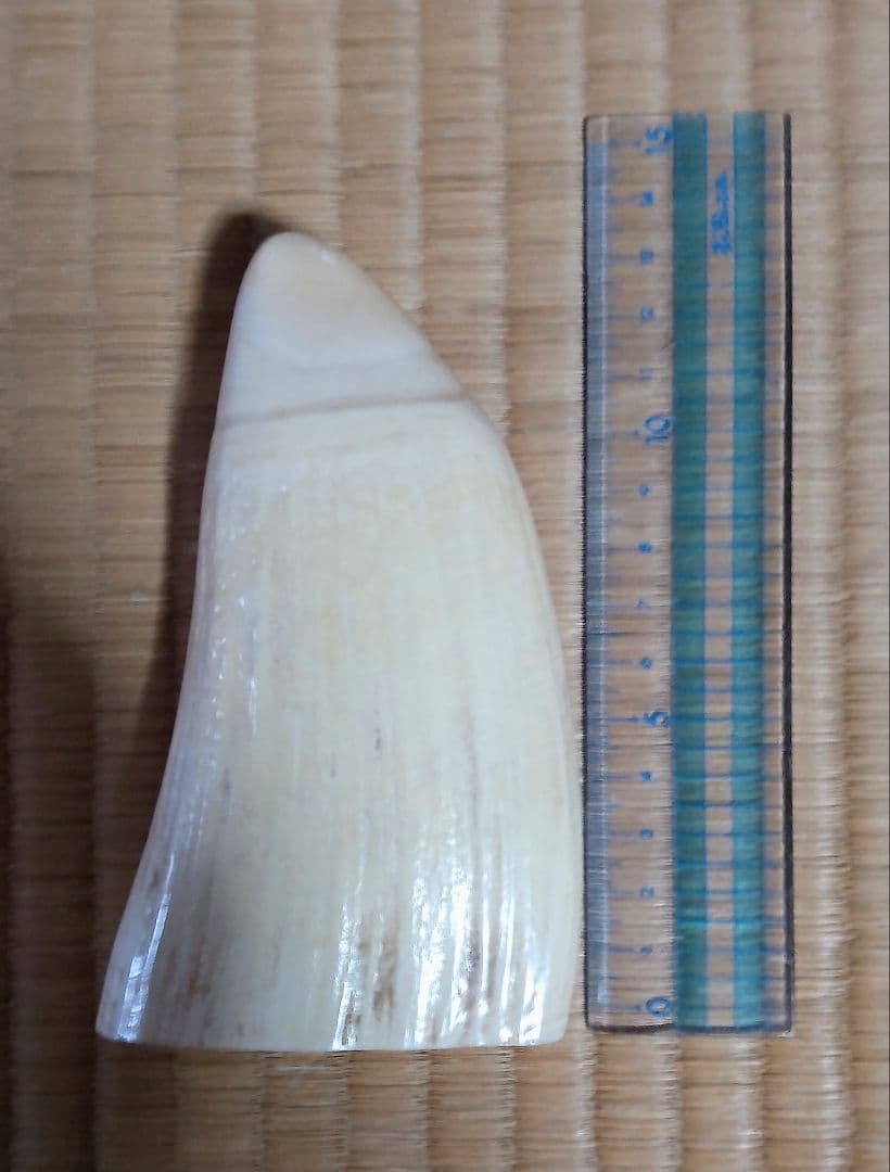 マッコウクジラの歯 彫刻 玉峰 七福神 布袋様