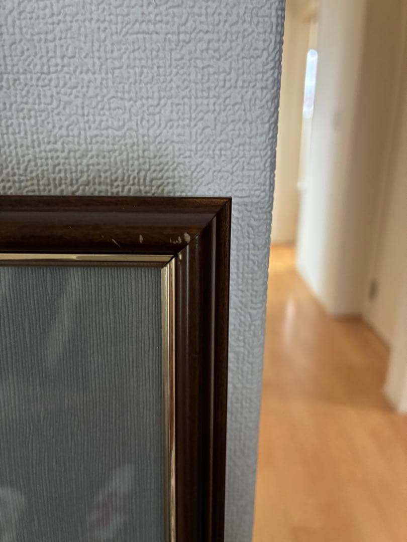 ワンピース　ONE PIECE 複製原画