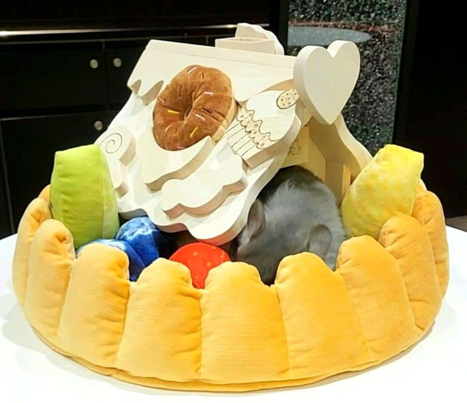 チンチラ ハウス 小動物 お菓子の家 えんとつハウス ロイヤルチンチラ