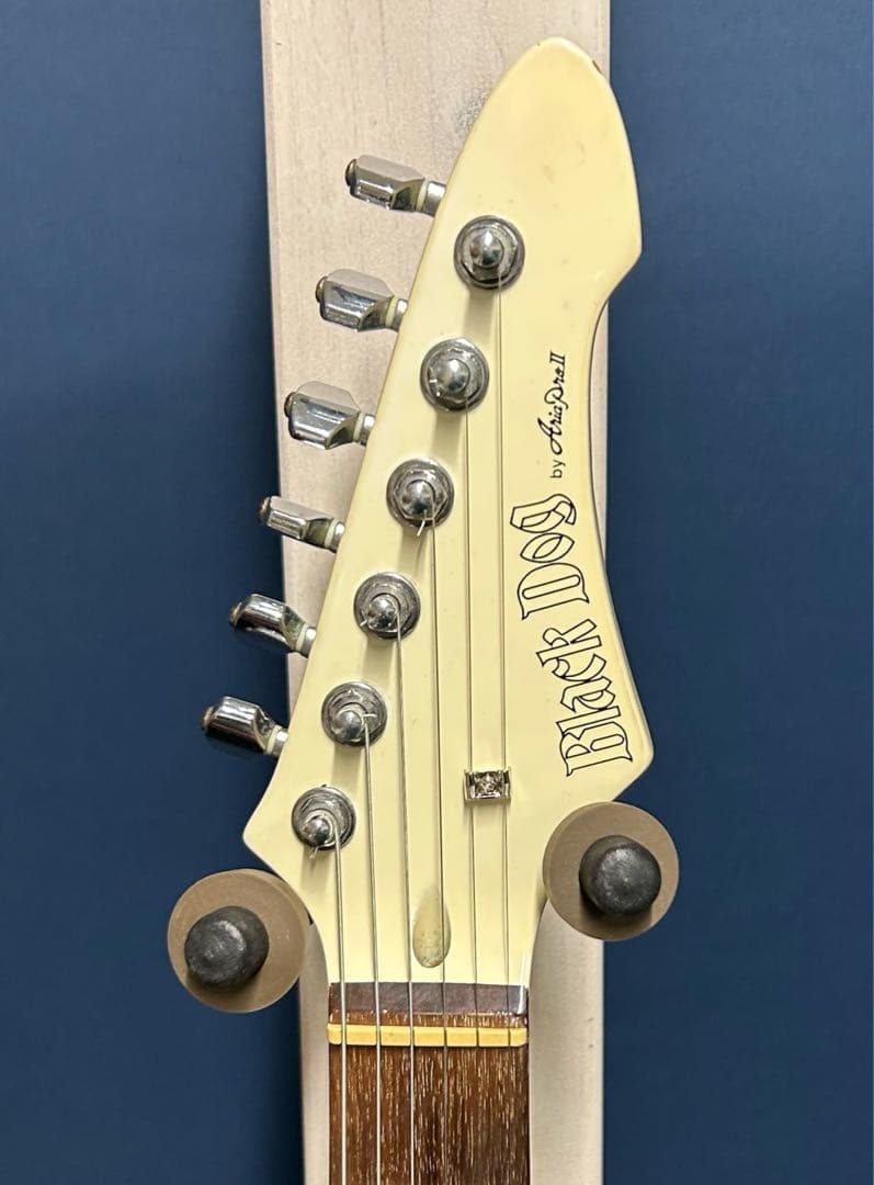 Black Dog by Aria pro Ⅱ ST type mod.