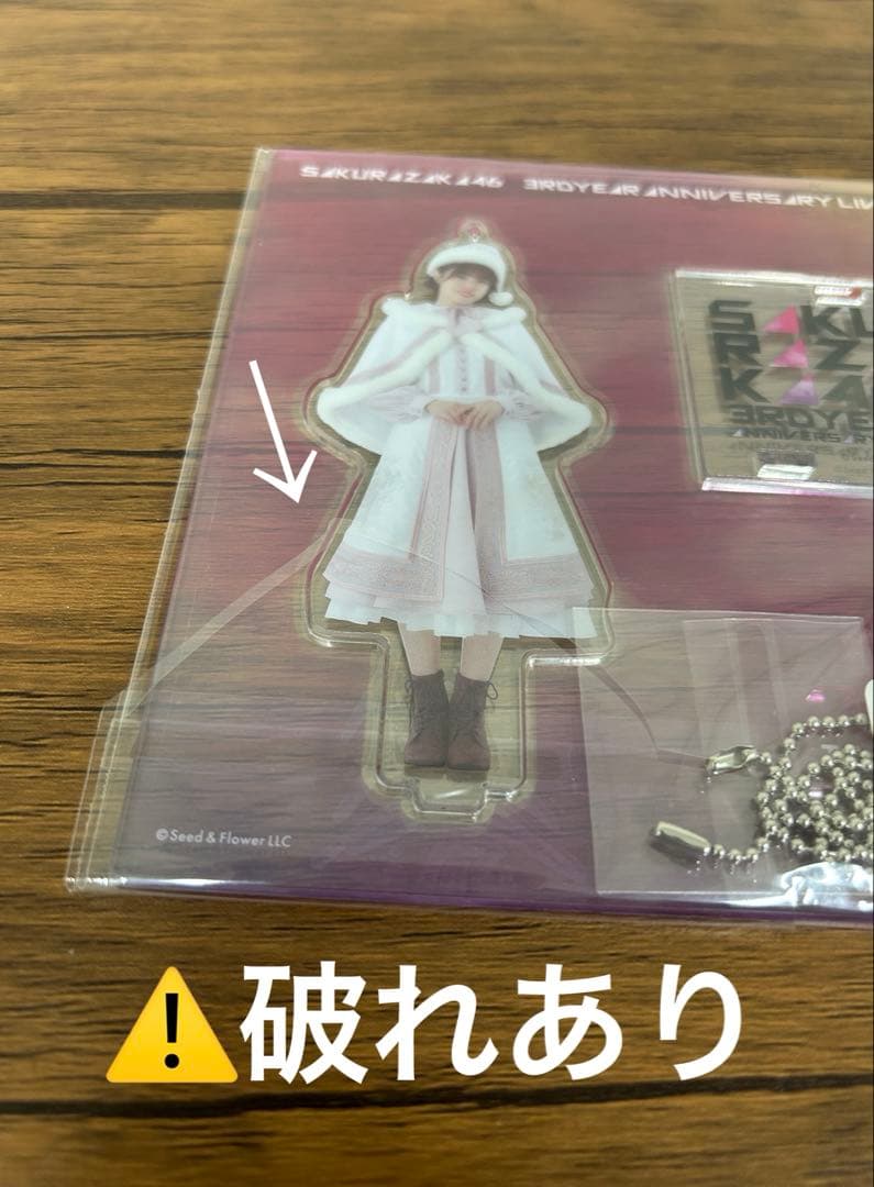 櫻坂46 武元唯衣　アクリルスタンド　まとめ売り