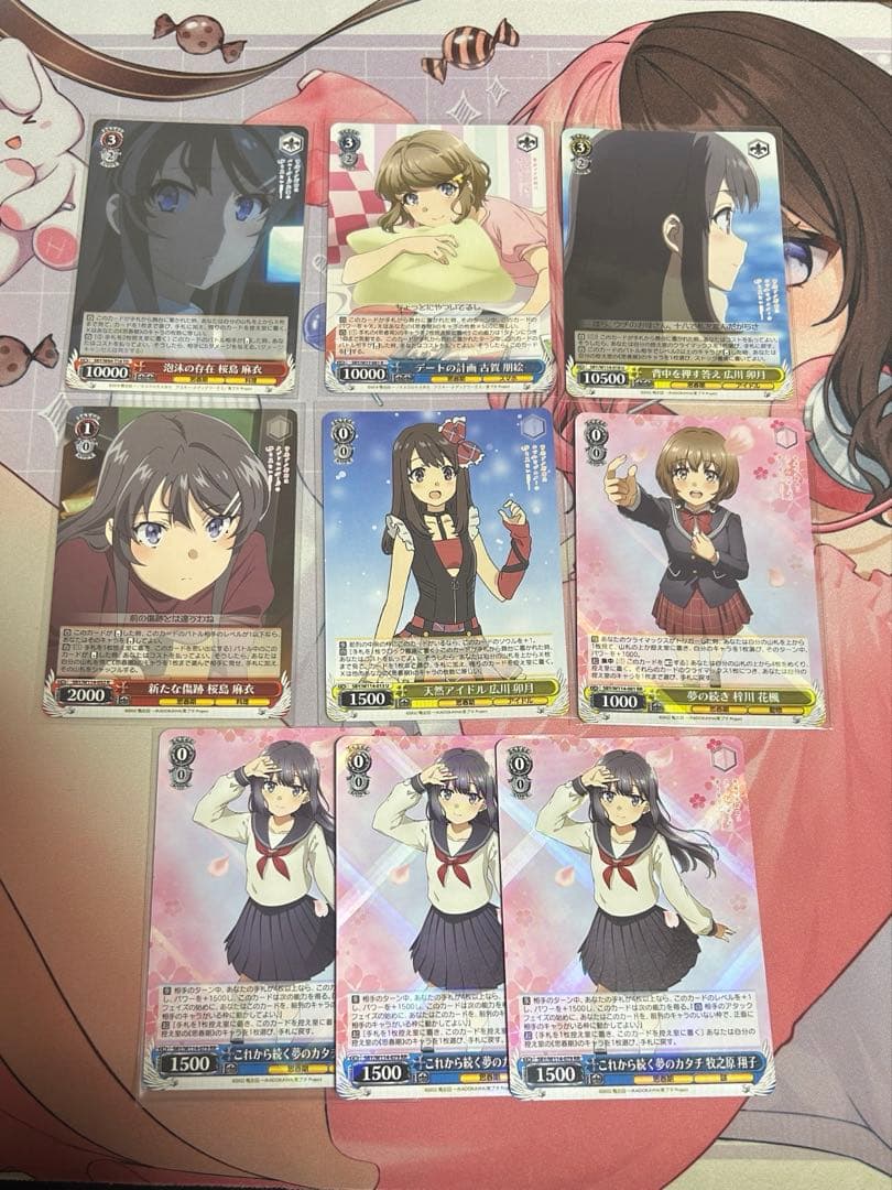 WS 青ブタ 8扉 デッキ 調整パーツ付