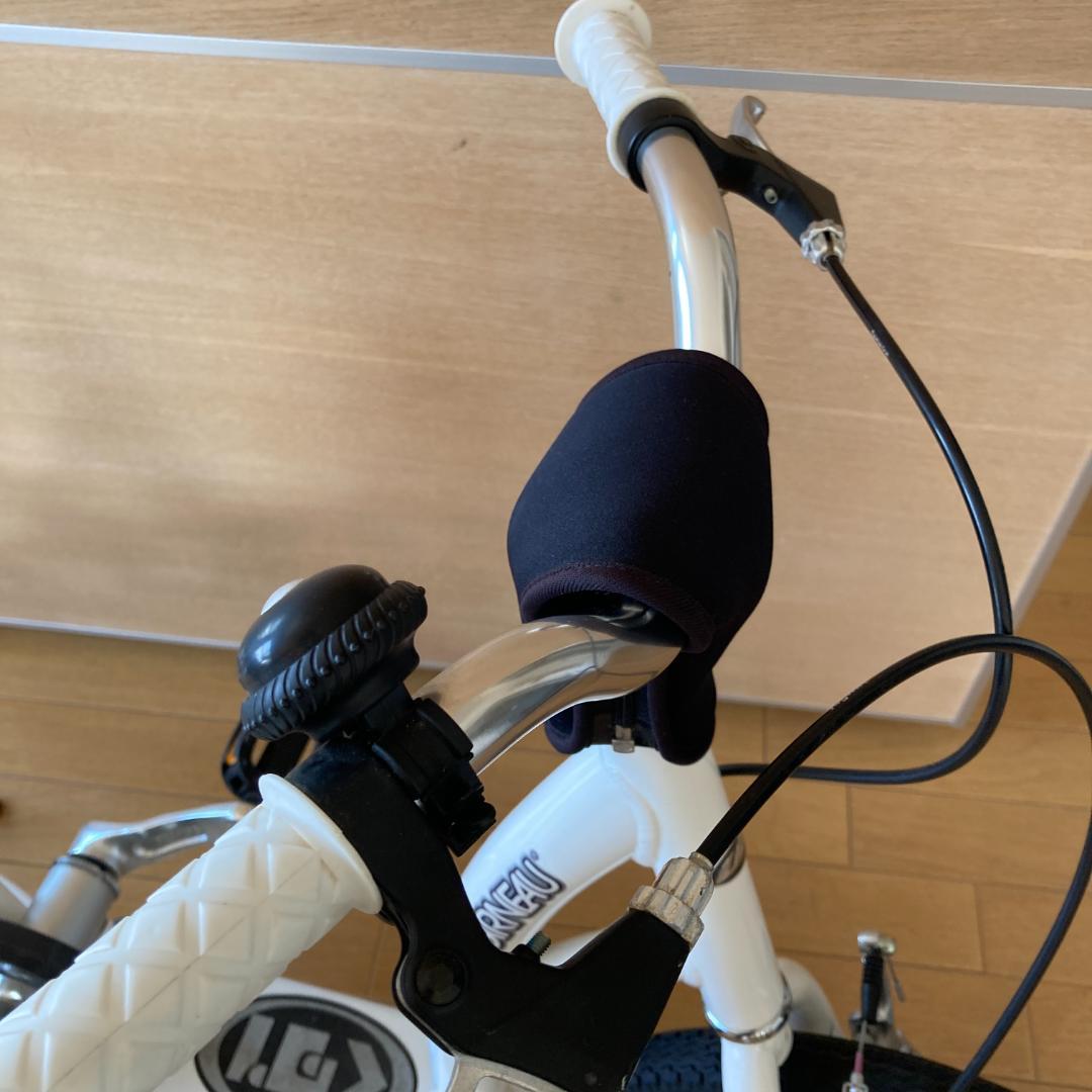 自転車本体 LOUIS GARNEAU LGS SK Jr