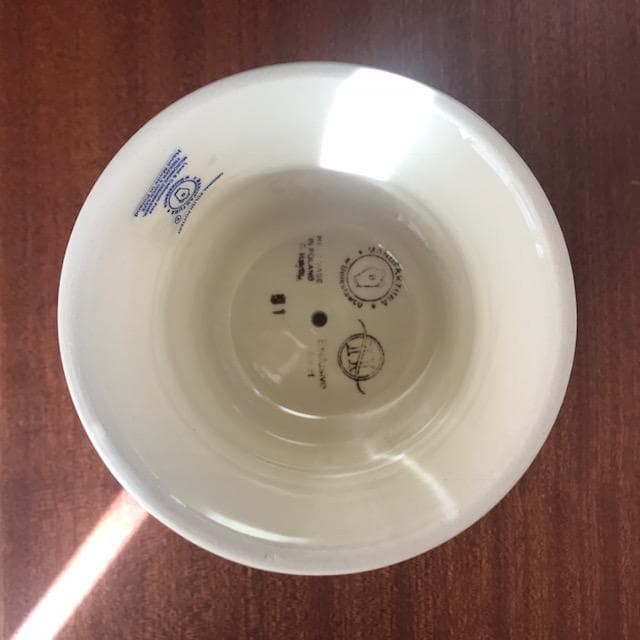 【限定品】北欧 ポーランド食器 おしゃれ 猫 犬 高さのある餌皿 フードボウル