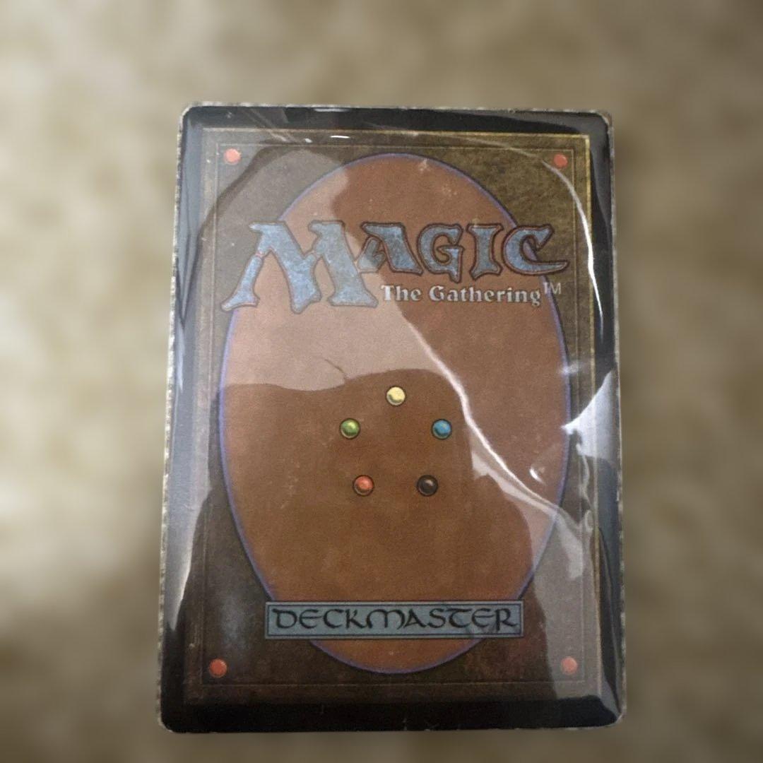 MTG トレイリアのアカデミー